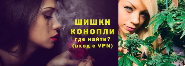ГАЛЛЮЦИНОГЕННЫЕ ГРИБЫ Алзамай