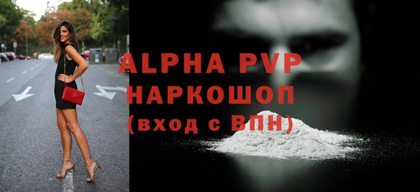 стаф Алексин