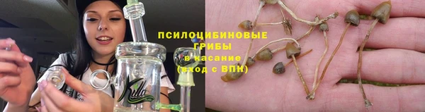 ГАЛЛЮЦИНОГЕННЫЕ ГРИБЫ Алзамай